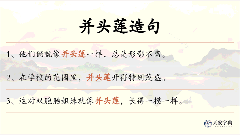 并头莲