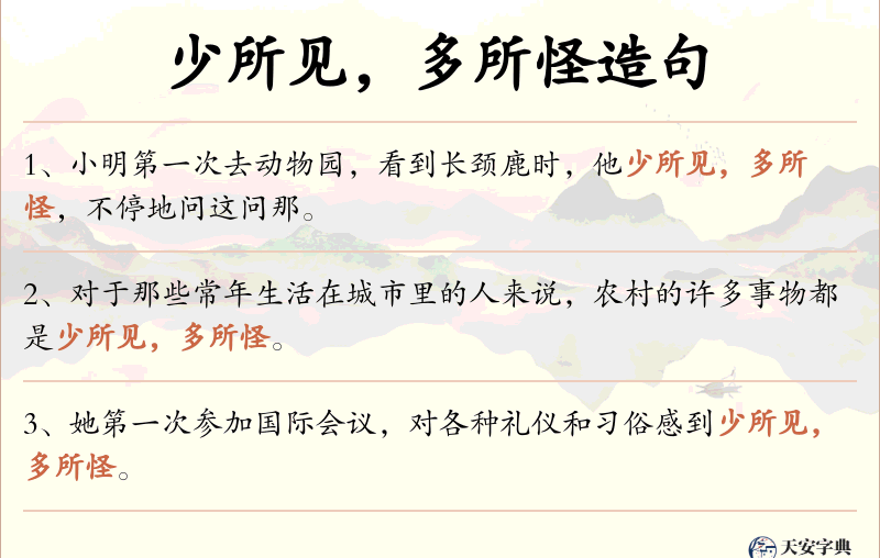 少所见，多所怪