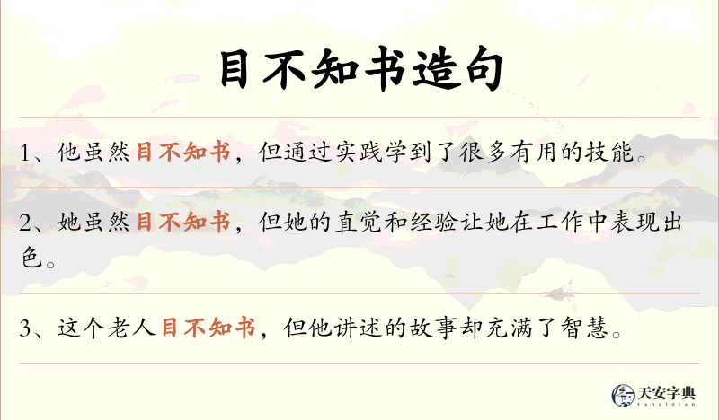 目不知书