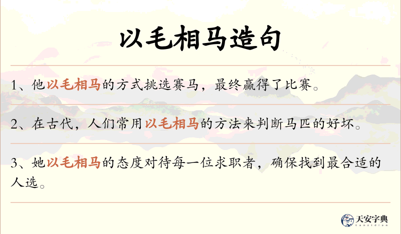 以毛相马