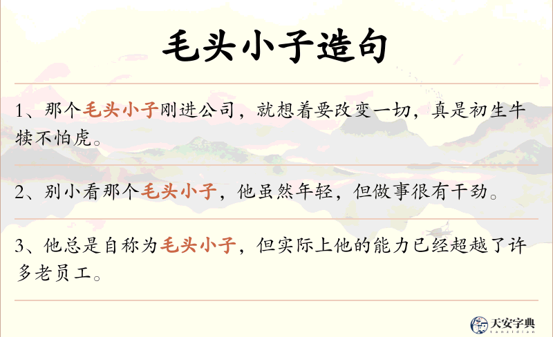 毛头小子