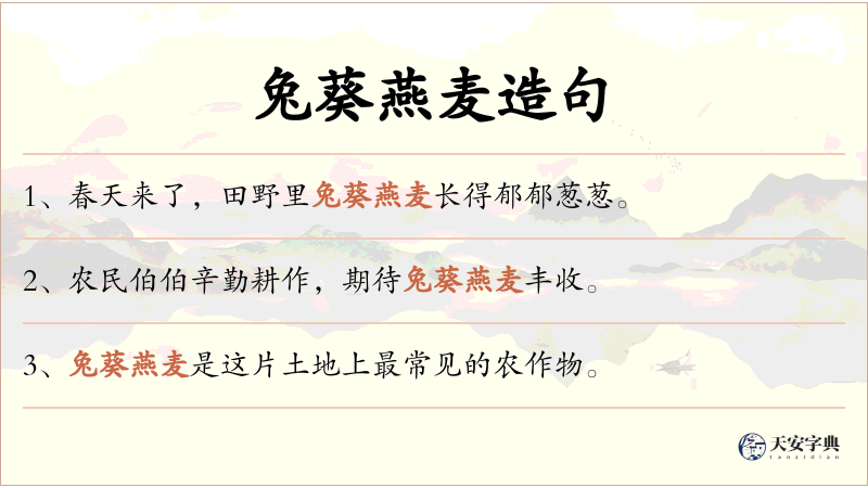 兔葵燕麦