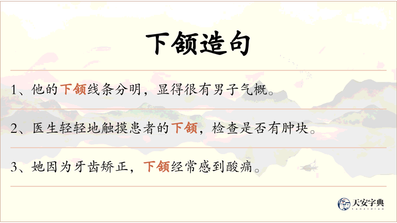 下颔
