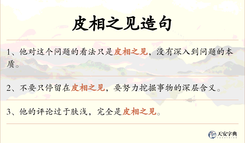 皮相之见
