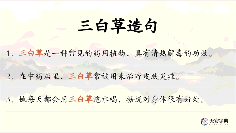 三白草