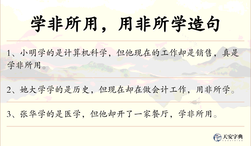 学非所用，用非所学