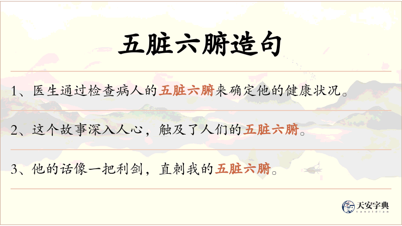 五脏六腑