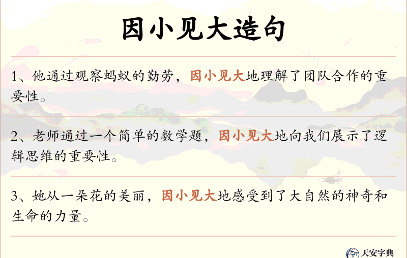 因小见大