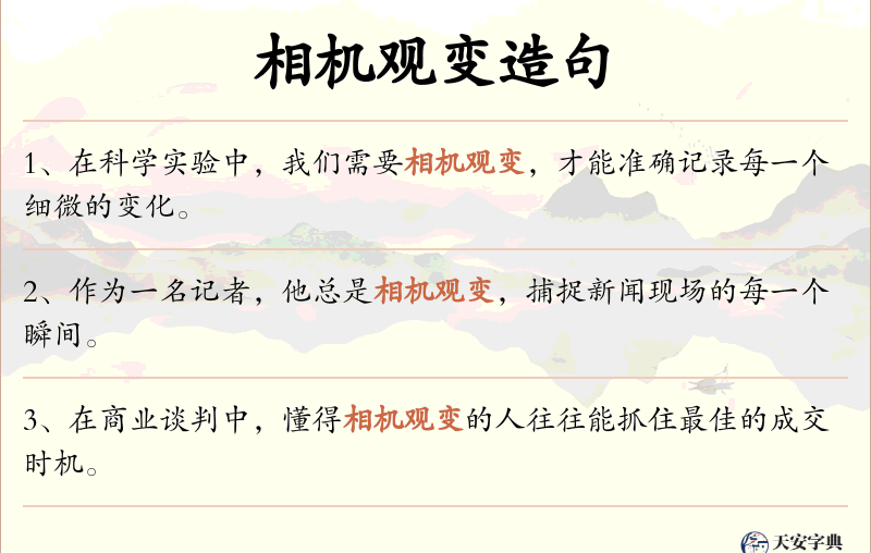 相机观变
