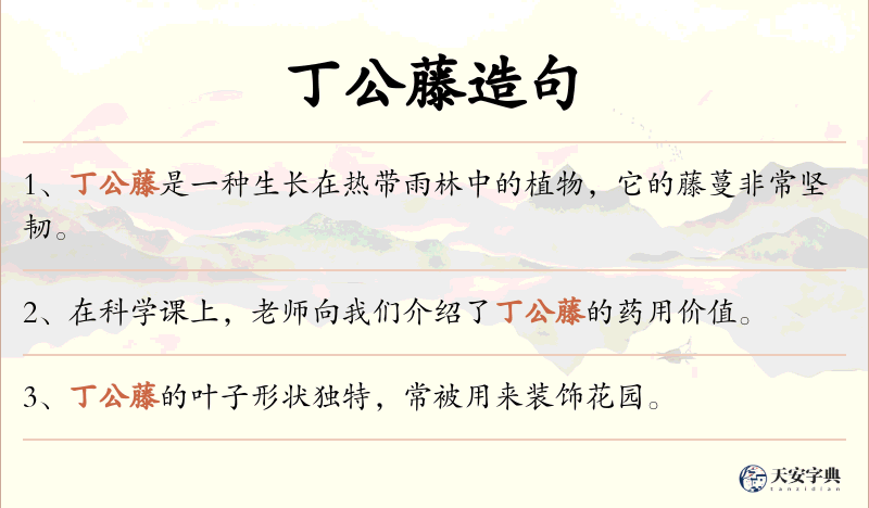 丁公藤