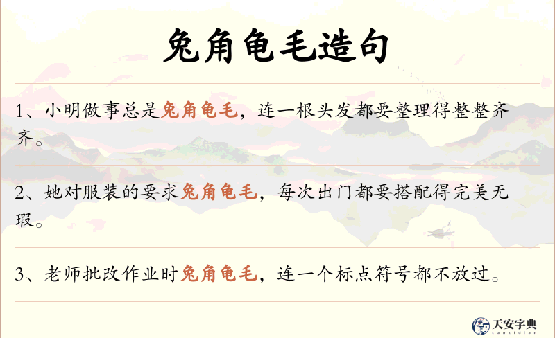兔角龟毛