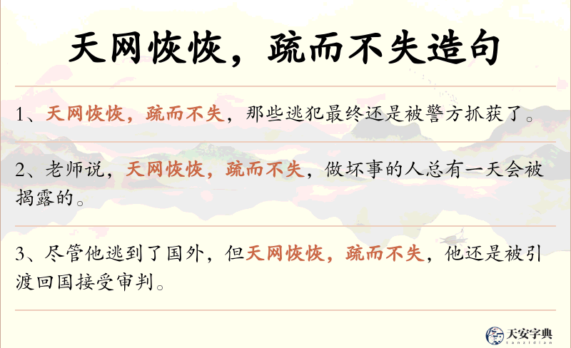 天网恢恢，疏而不失