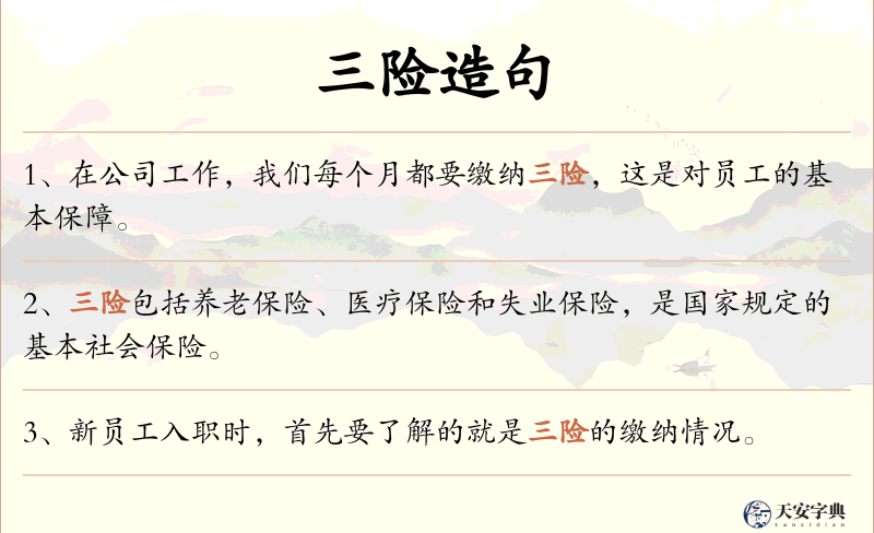 三险