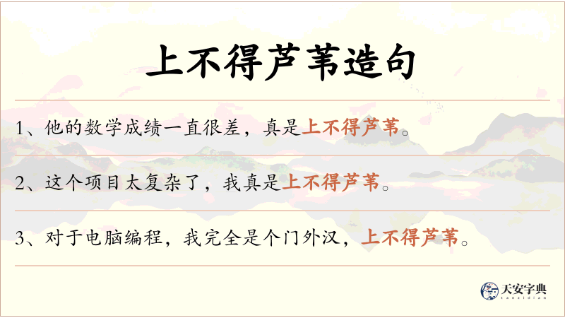 上不得芦苇
