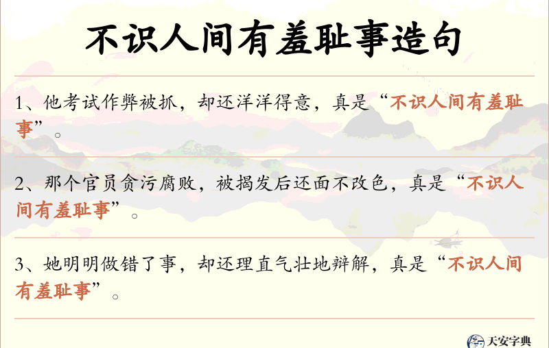 不识人间有羞耻事