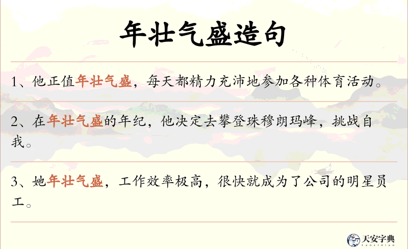 年壮气盛