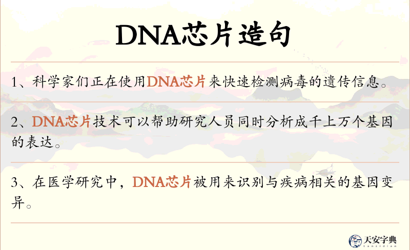 DNA芯片