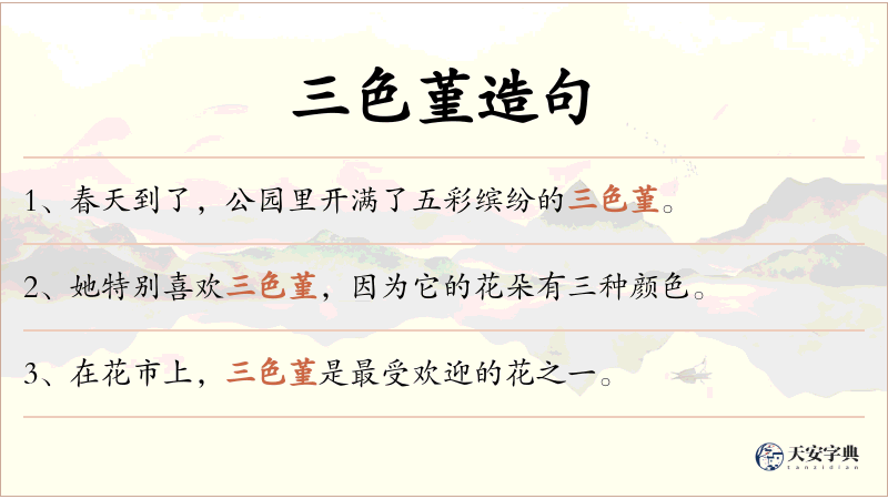三色堇