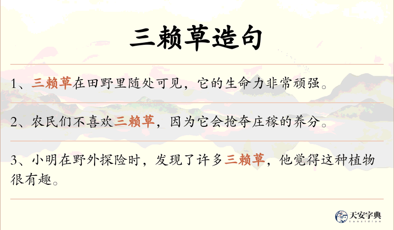 三赖草