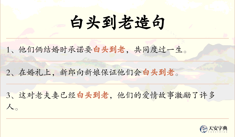 白头到老