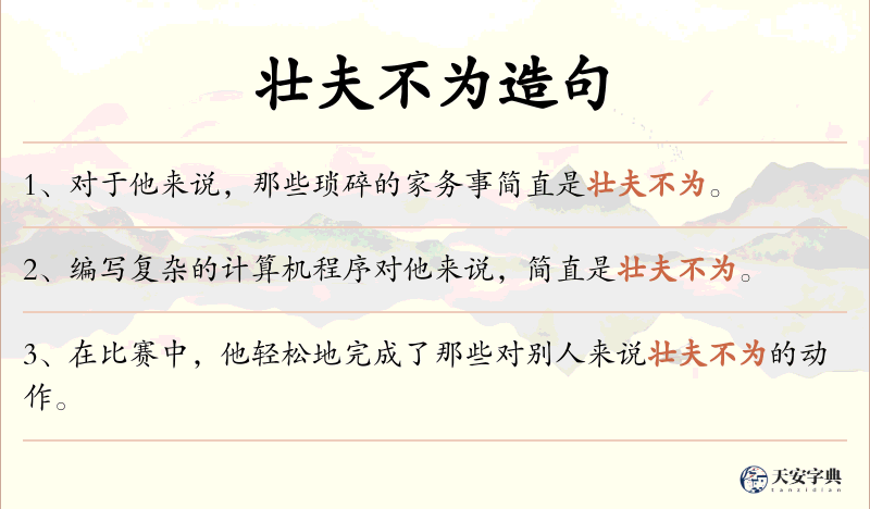 壮夫不为