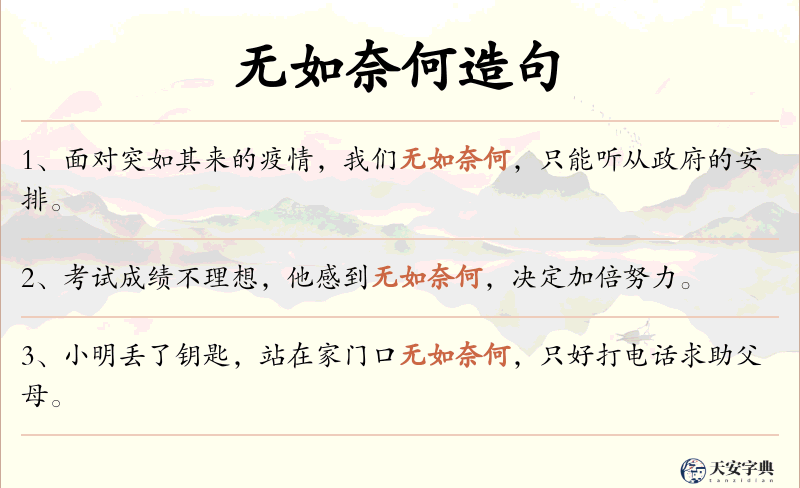 无如奈何