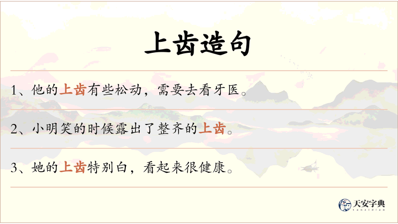 上齿