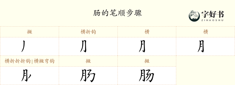 肠