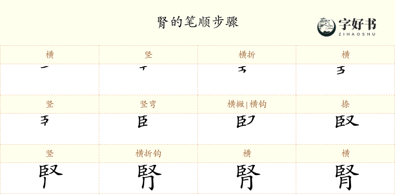 腎