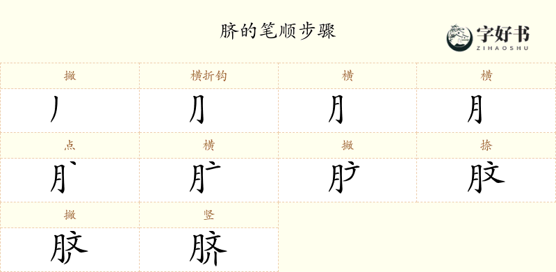 脐