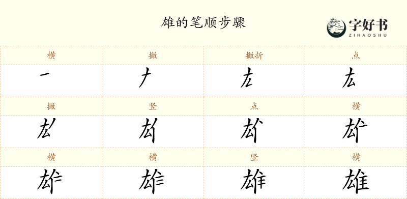 雄