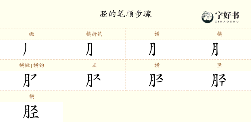 胫