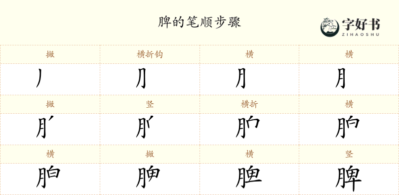 脾
