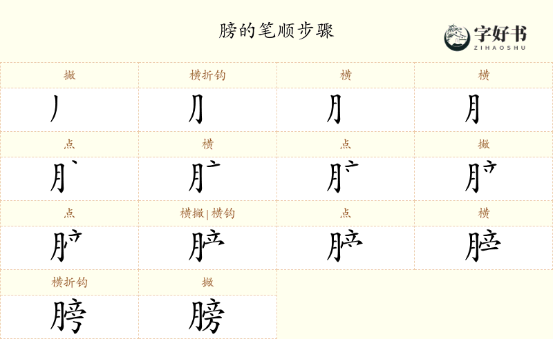 膀