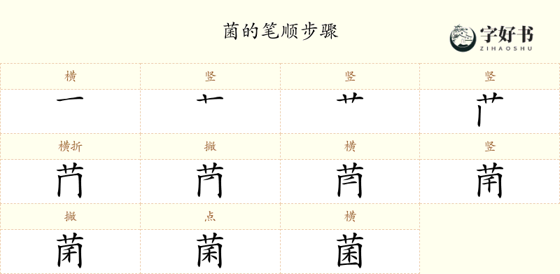 菌