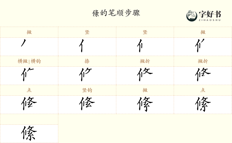 絛