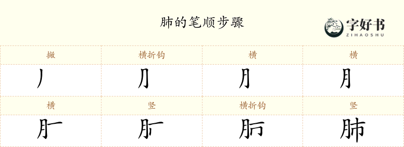肺