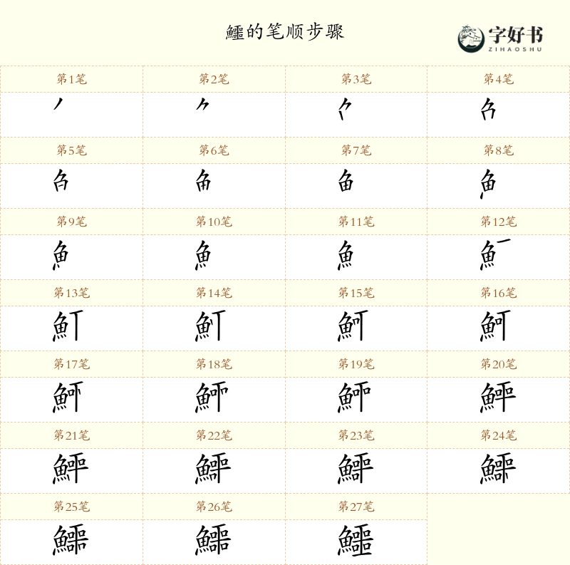 鱷