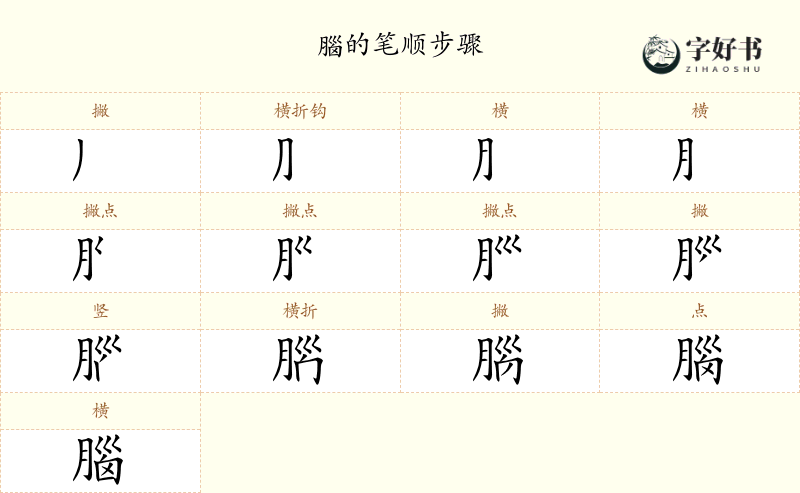 腦