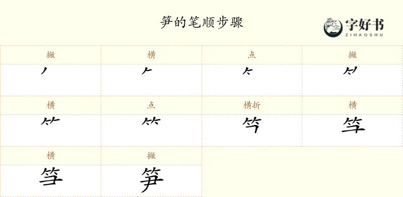 笋