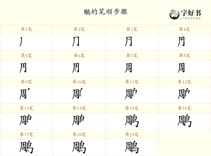 鵰