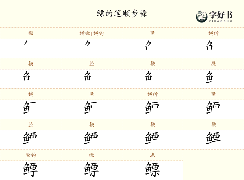鳔