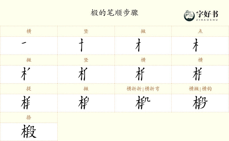 椴