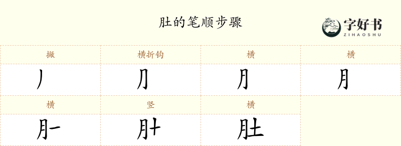 肚
