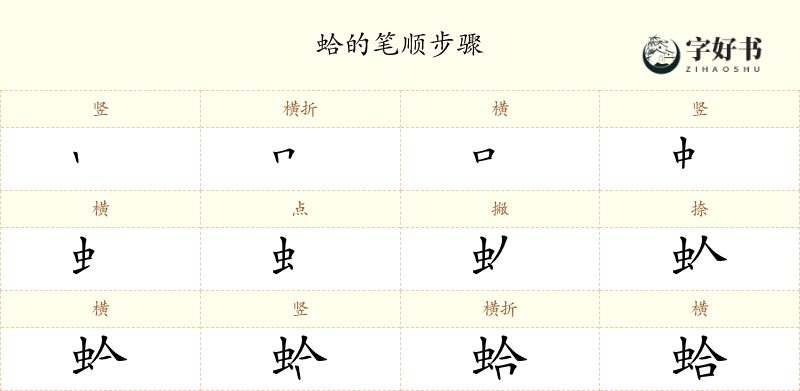 蛤