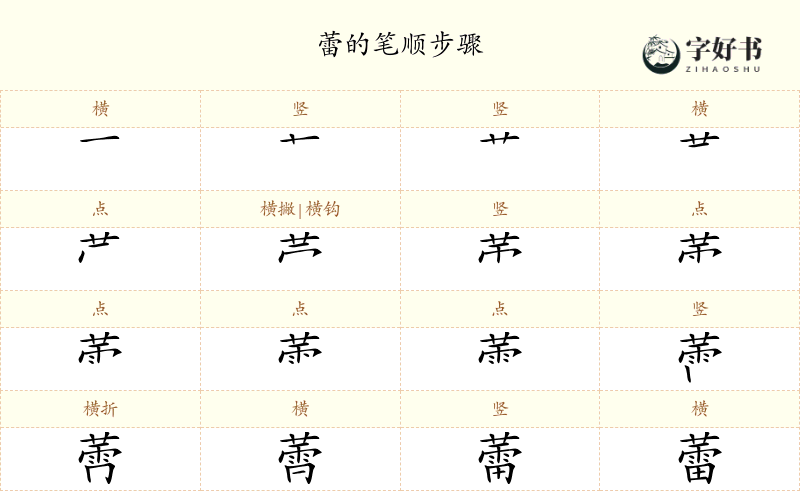 蕾