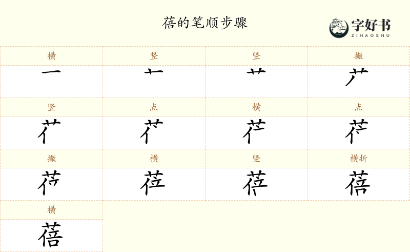 蓓