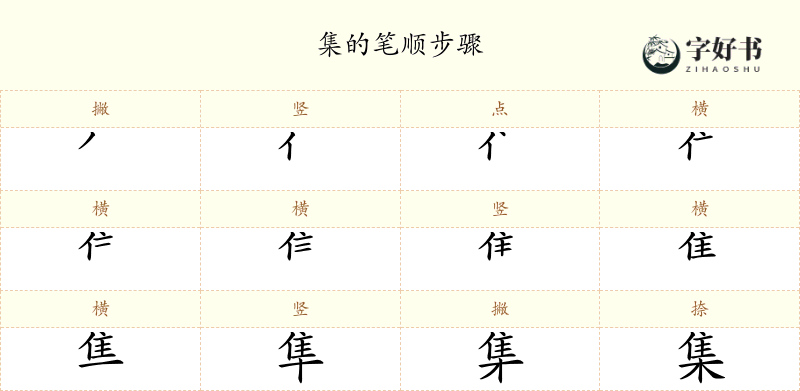 集