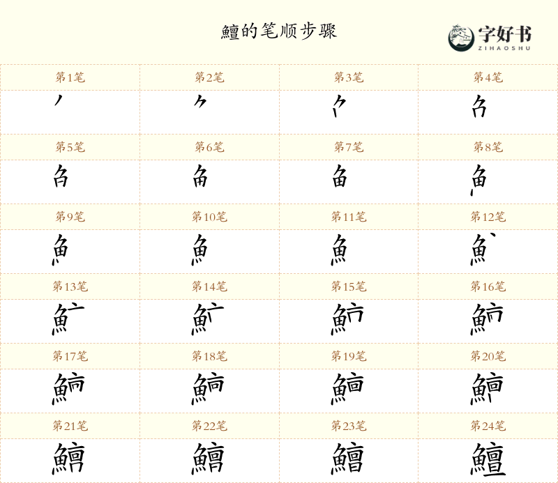 鱣