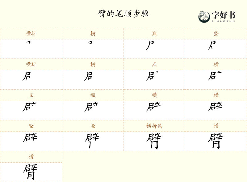 臂